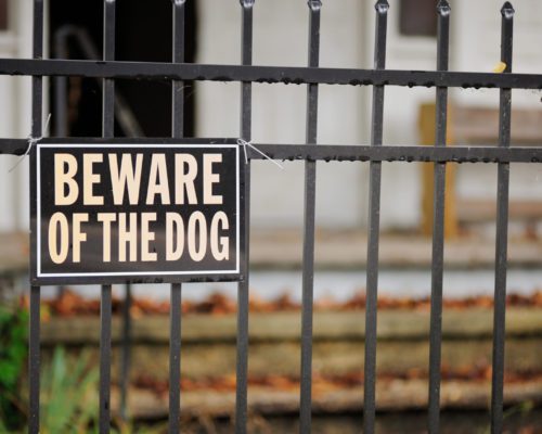 Close up of beware of the dog sign on metal fence in front of unrecognizable house
